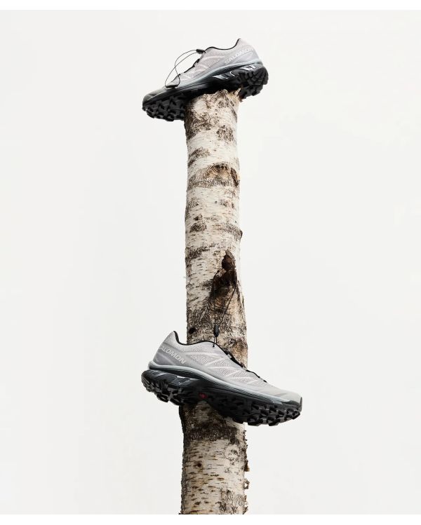 SNEAKERS XT-6 SHADOW GULL / GRAY VIOLET / QUARRY