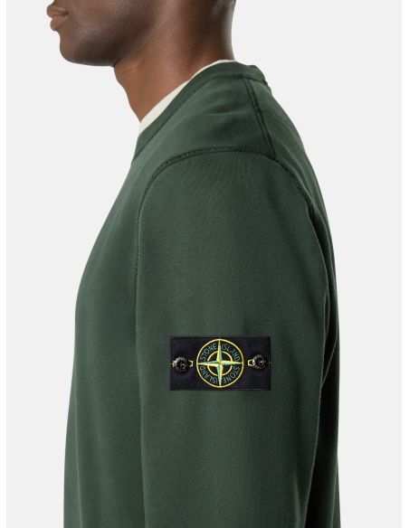 SWEATSHIRT 6100060 JUPITER GREEN