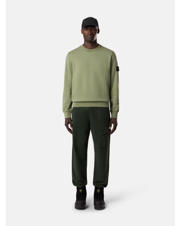 SWEATSHIRT 6100060 VERT SAUGE