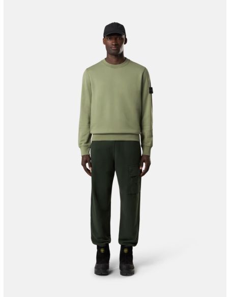 SWEATSHIRT 6100060 SAGE GREEN