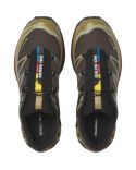 SNEAKERS XT-6 GORE-TEX DELICIOSO / TEA