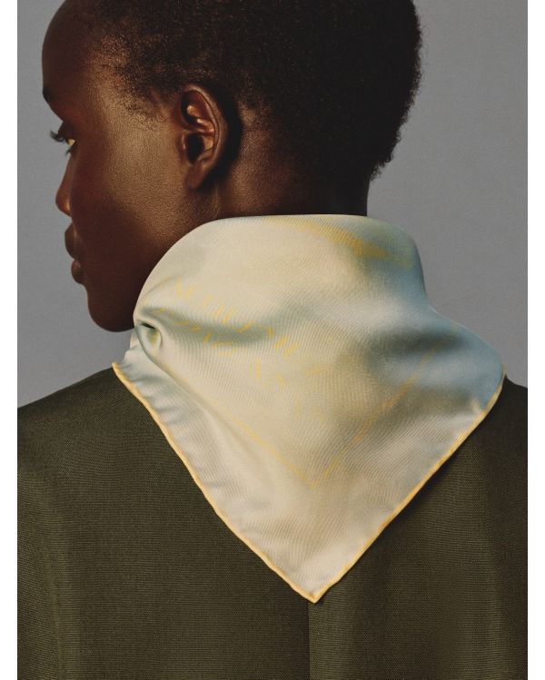 LE FOULARD PAYSAN IMPRIME ANIMAL BLEU CLAIR / JAUNE 2