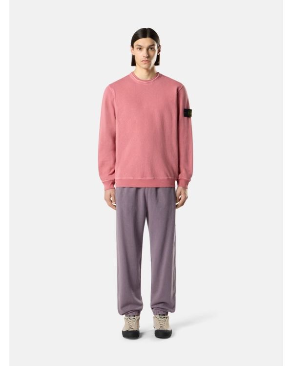 SWEATSHIRT 6100034 OLEANDER 2