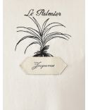 LE TSHIRT PALMIER IMPRIMÉ PALMIER + CALISSON